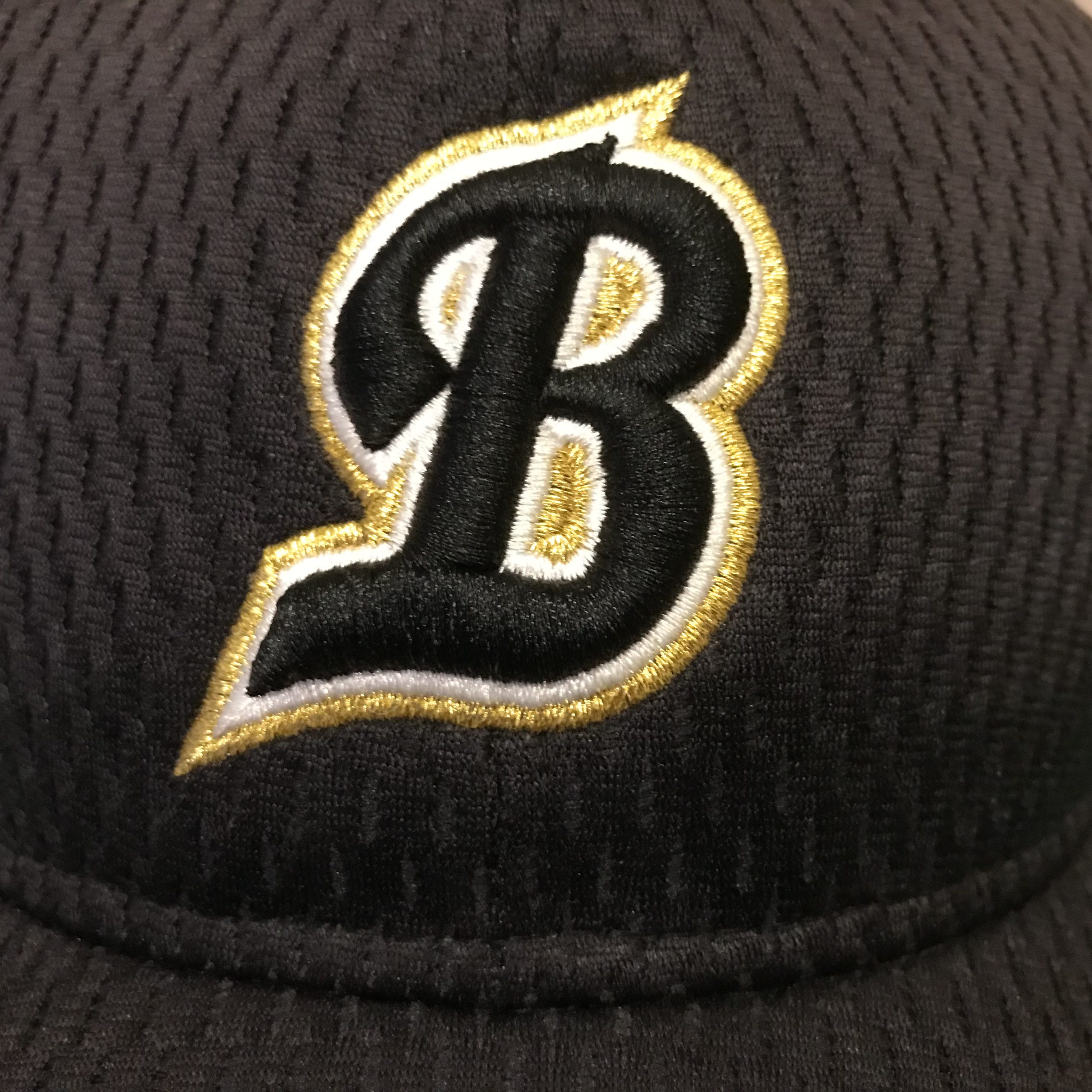 札幌ブラックタイガース