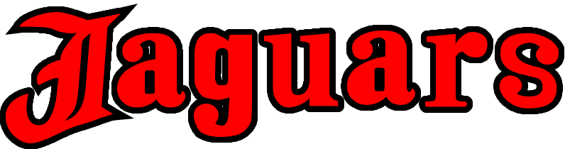 ニュータウンジャガーズ