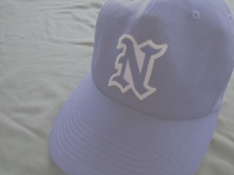 西戸山パワーズ