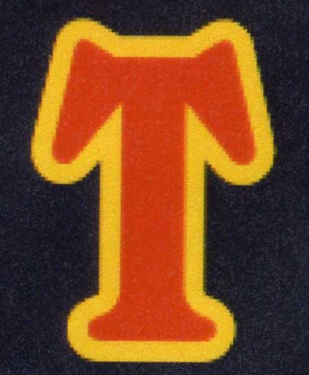 立入が丘ジュニアスキッパーズ