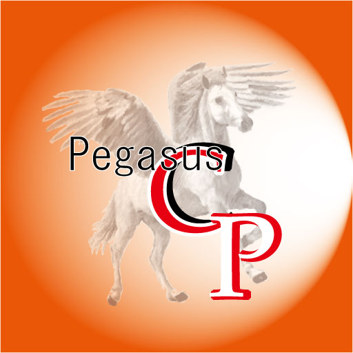 中央ペガサススポーツ少年団