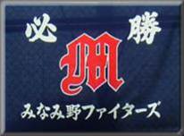 みなみ野ファイターズ