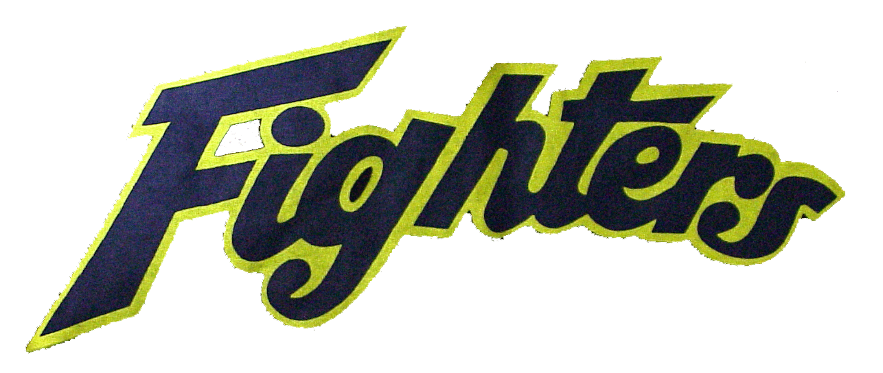 宮沼ファイターズ