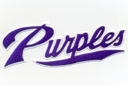 白橿南パープルズ