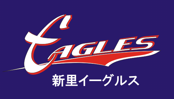 新里イーグルス