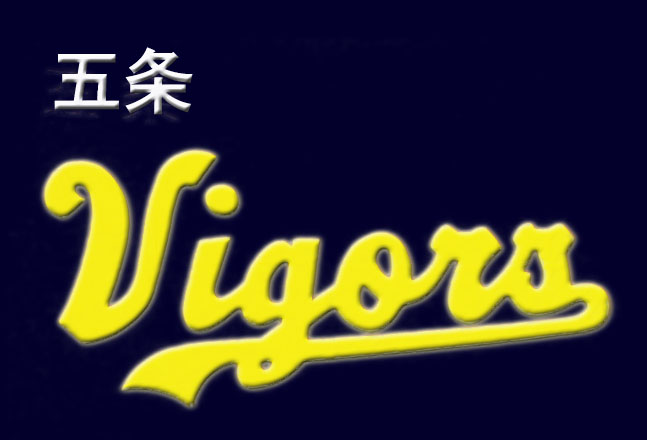 五条ヴィガーズ