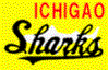市ヶ尾シャークス
