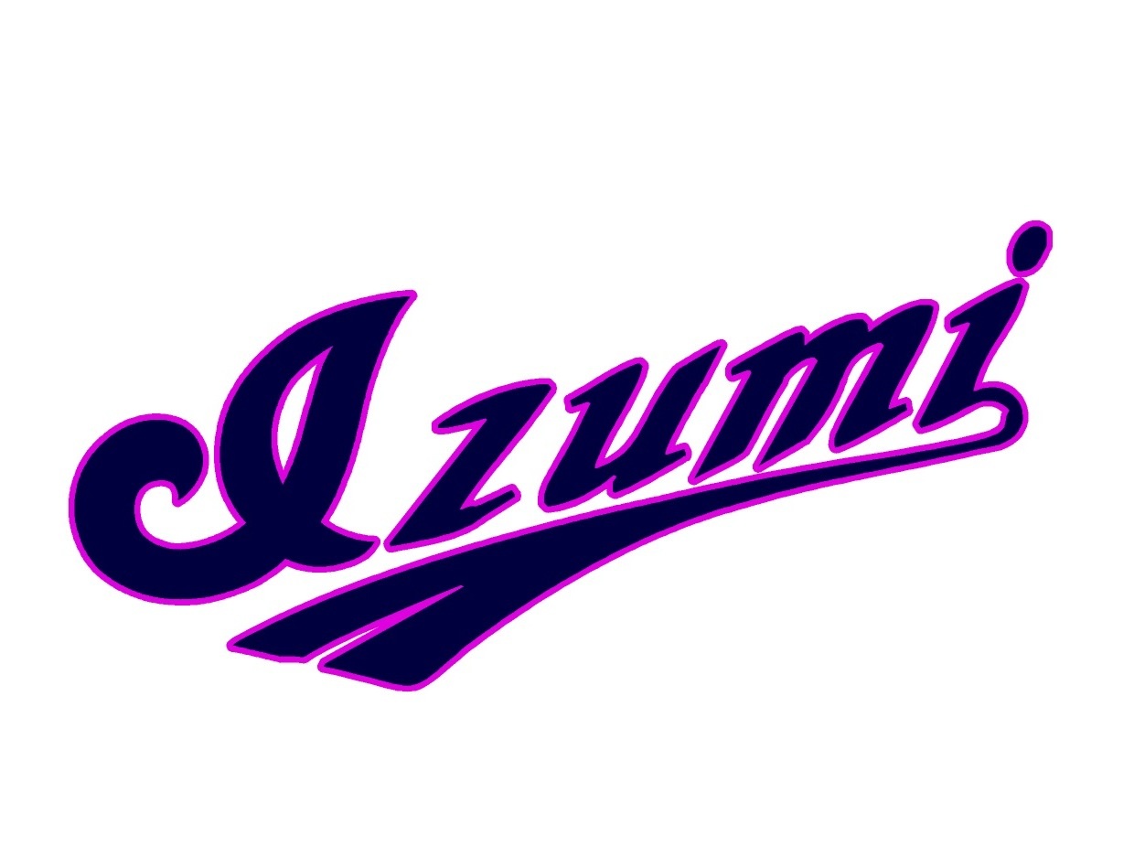 泉野球スポーツ少年団