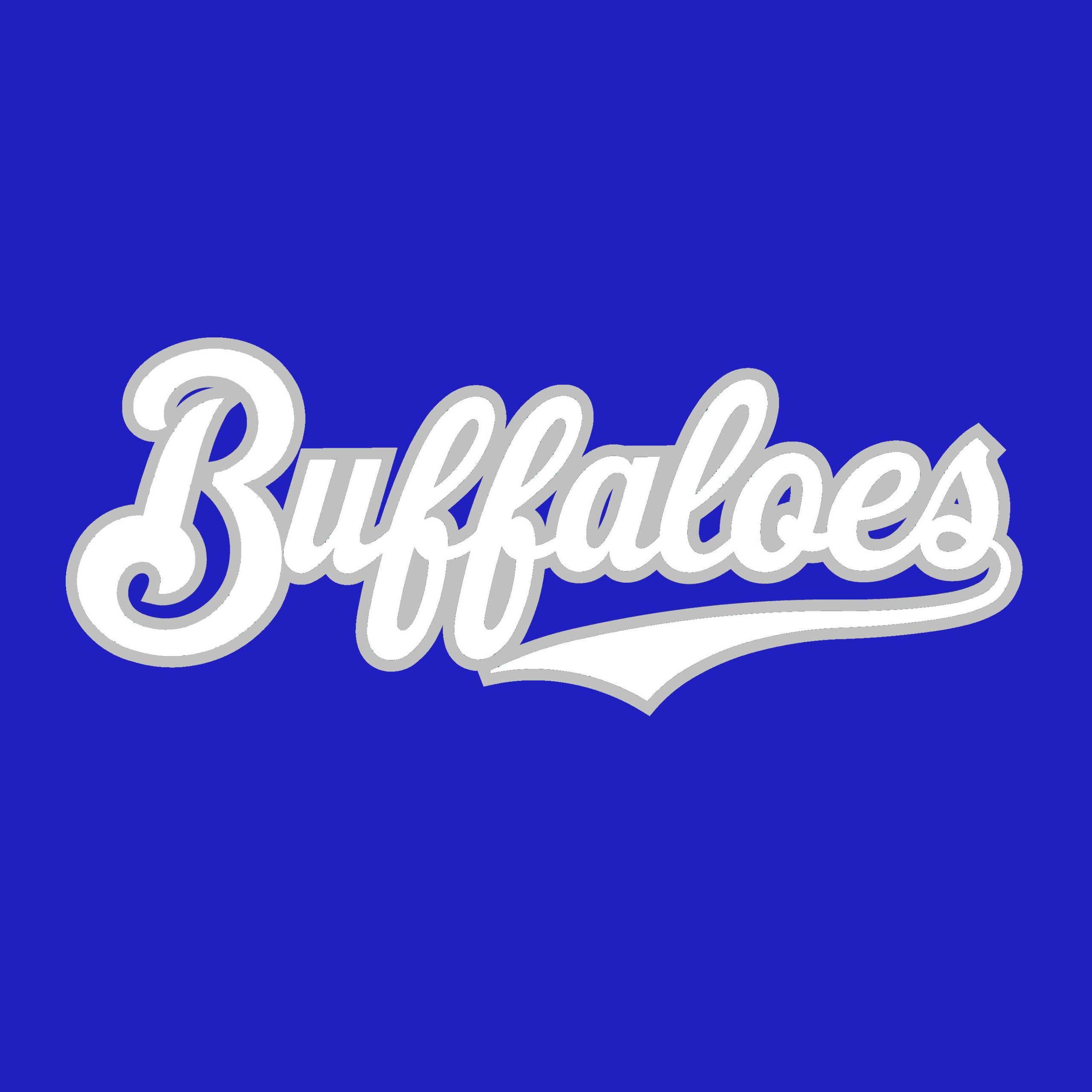 南元バッファローズ