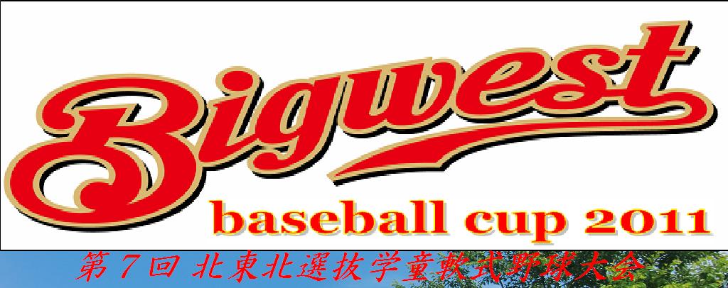 BigWestBaseballCup 活動スケジュール