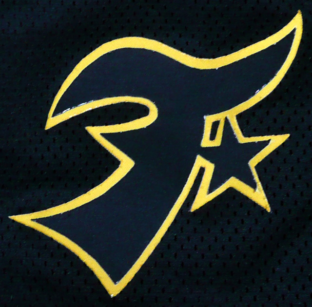 新木ファイターズ