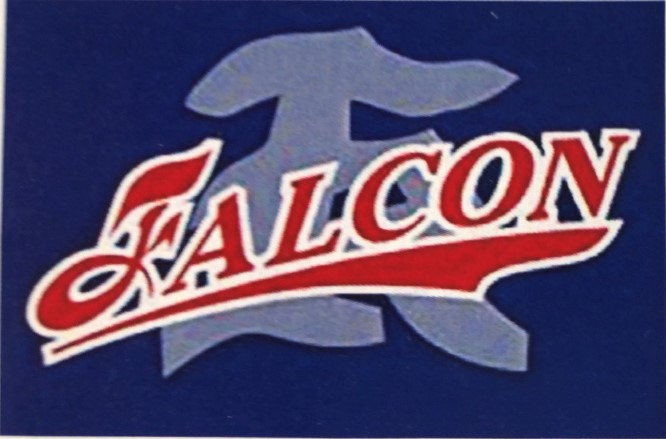 鎌倉ファルコン