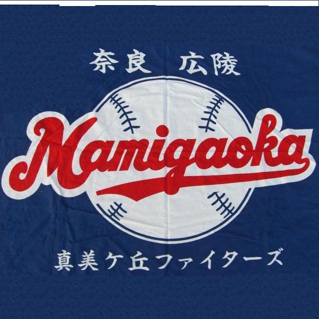 真美ヶ丘ファイターズ