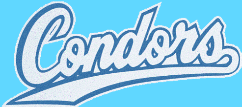 稲城コンドルズ