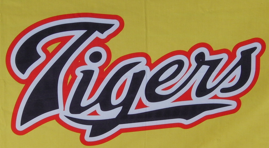 大口タイガース