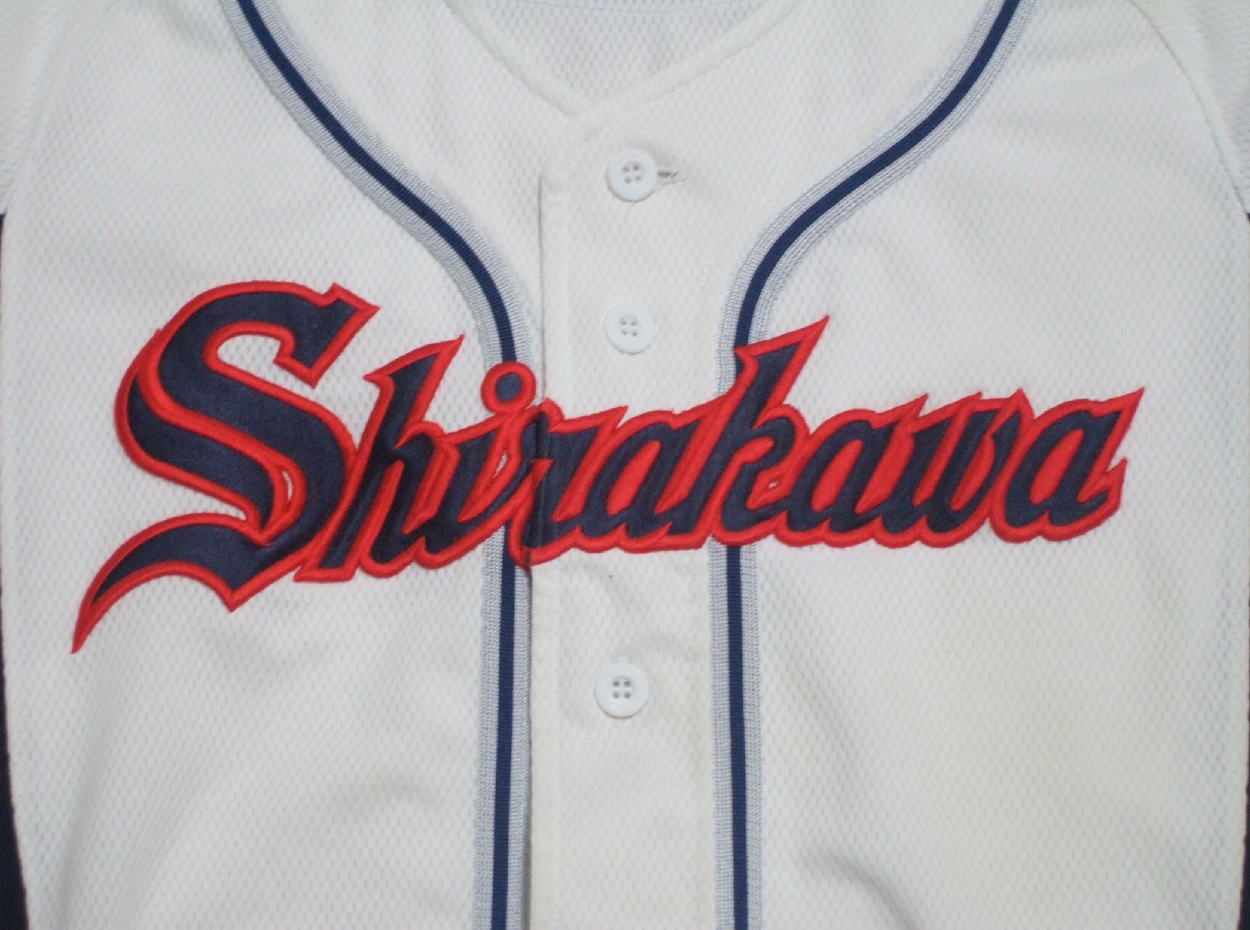 白川ホーネッツ２０１０