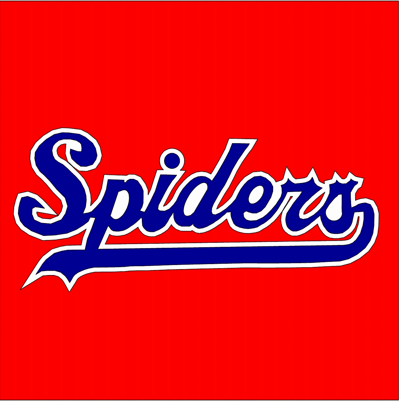 拓北スパイダース