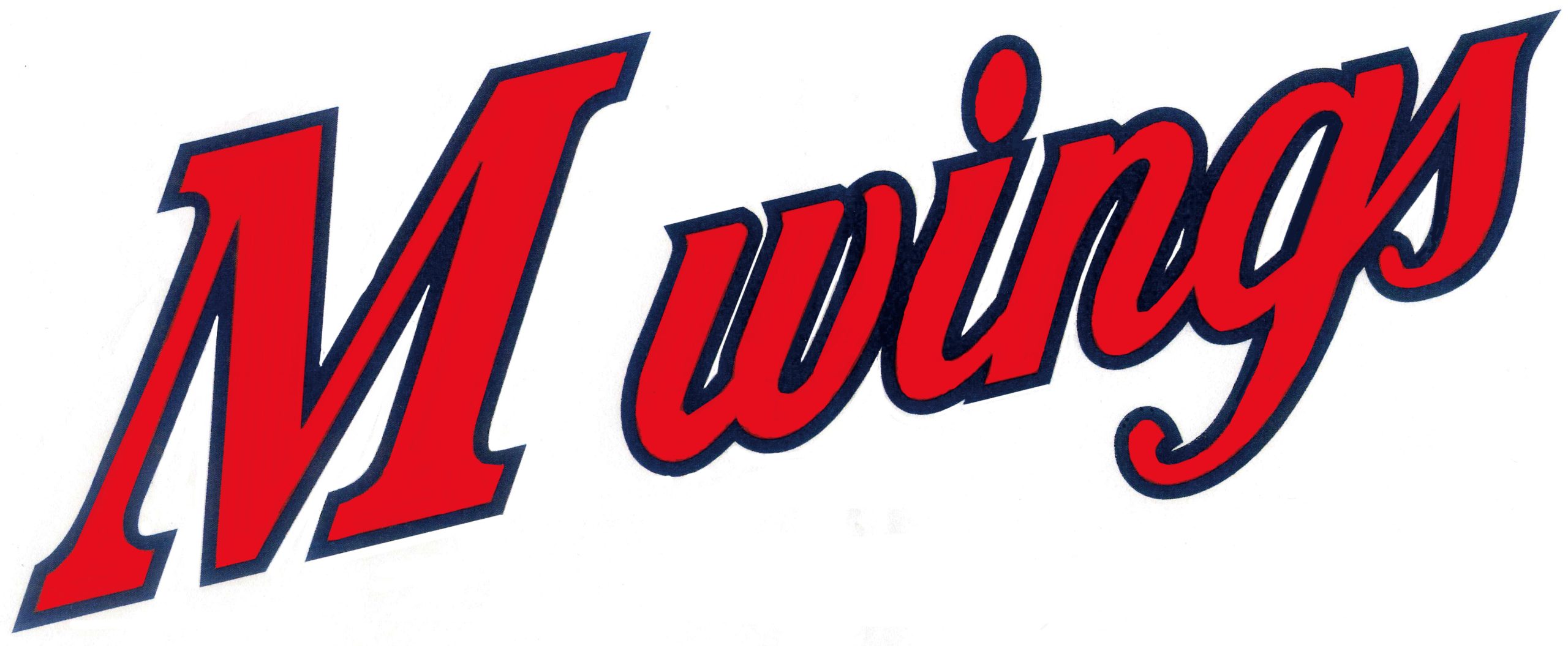 南河原リトルウィングス