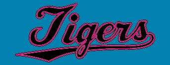 西小中台ブラックタイガース