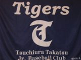 高津タイガース