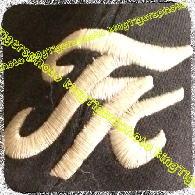 宝塚キングタイガース