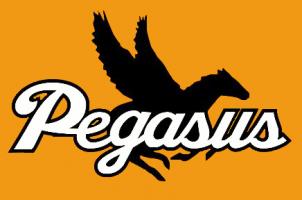 亀高ペガサス