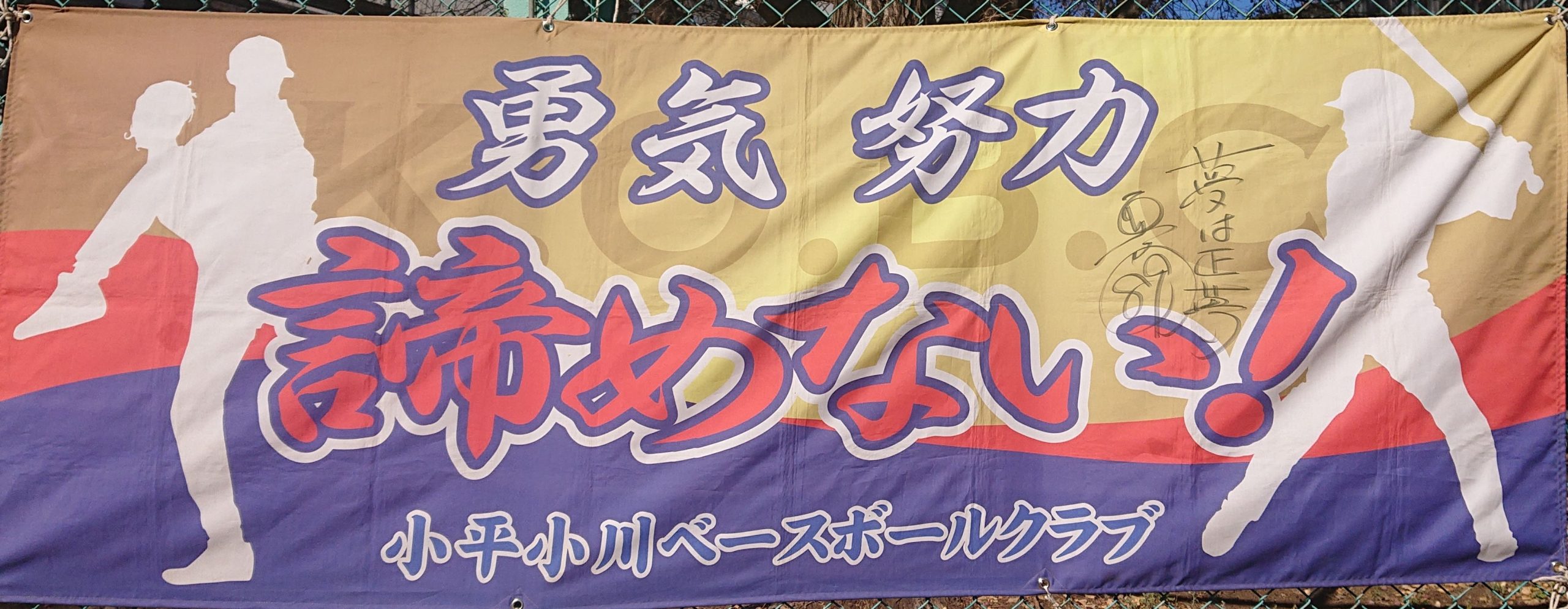 小平小川ベースボールクラブ 活動スケジュール
