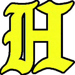 平尾タイガース