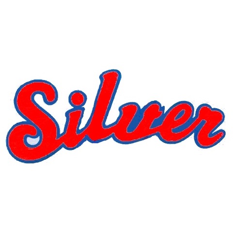 シルバーホークス