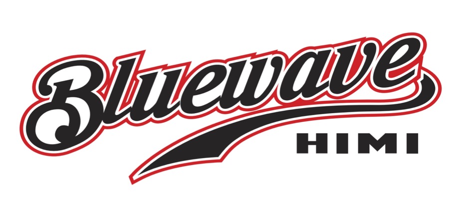 氷見ブルーウェーブ