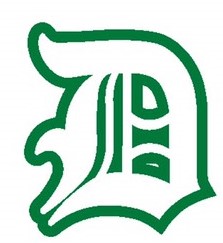 平岡ドラゴンズ