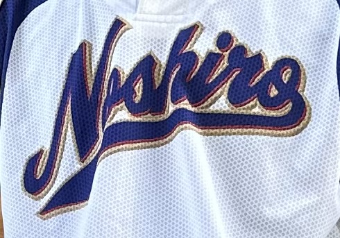 苗代ブルースターズ