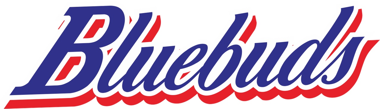 相模ブルーバッズ