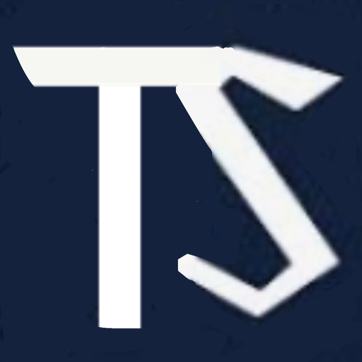 豊田スワローズ