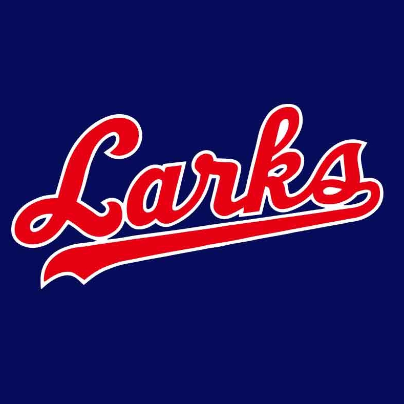 高塚新田ラークス