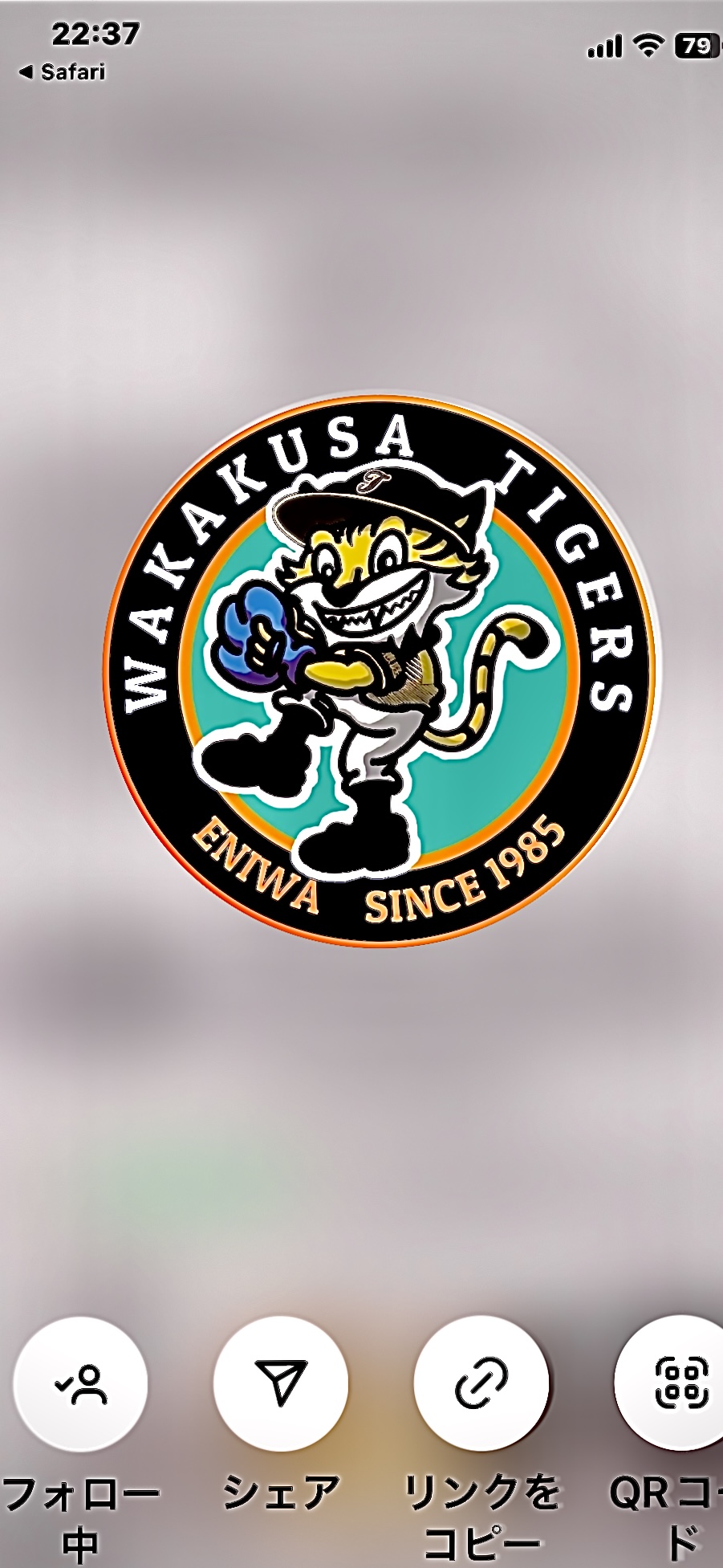 恵庭若草タイガース