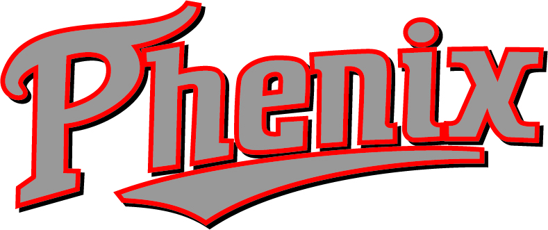 山形西小けやきフェニックス