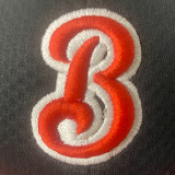 桜井西ブラックベアーズ