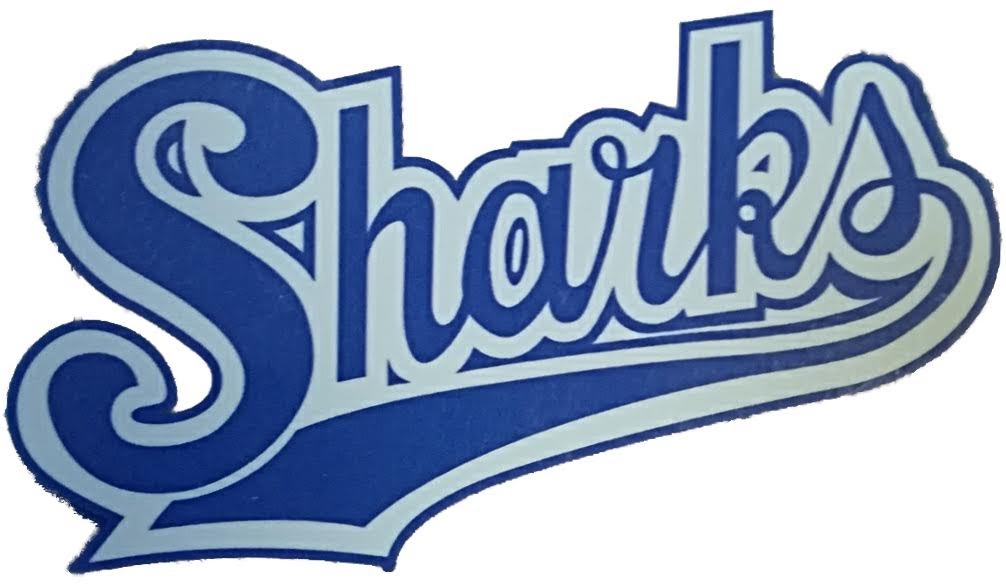 清水丘シャークス