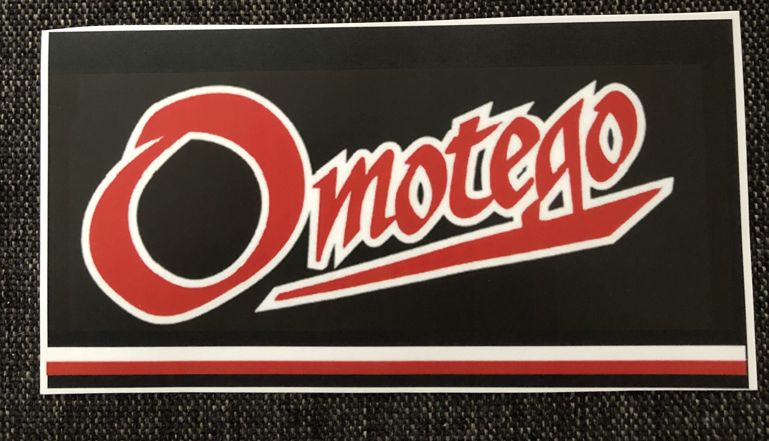 表郷スポーツ少年団