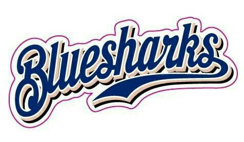 東中野山ブルーシャークス