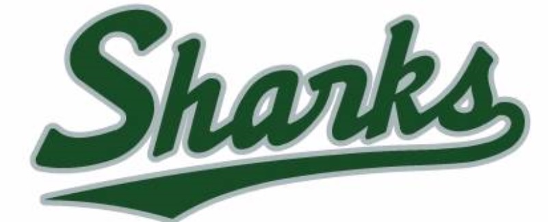 鳴海シャークス