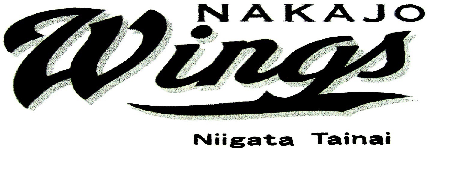 中条ウイングス