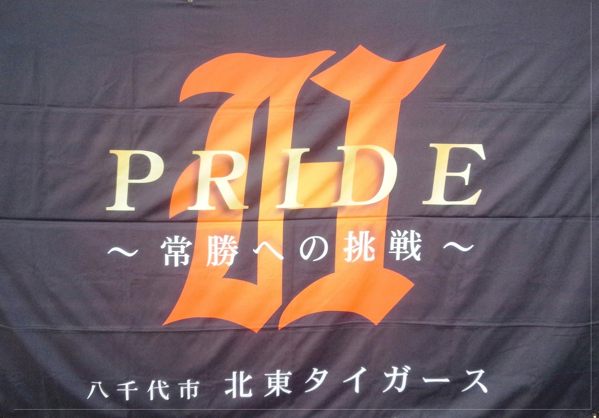 北東タイガース