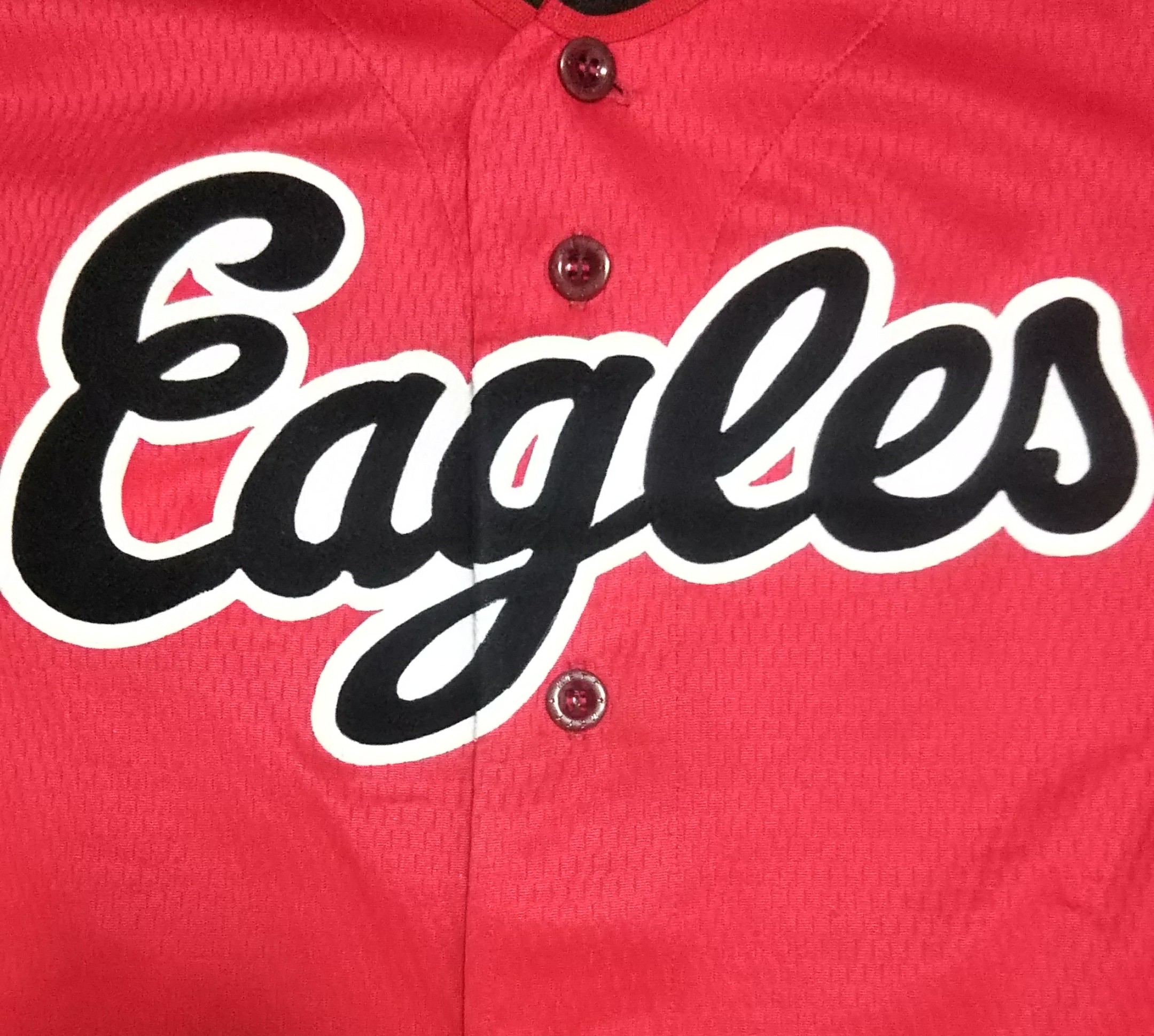 西淀イーグルス