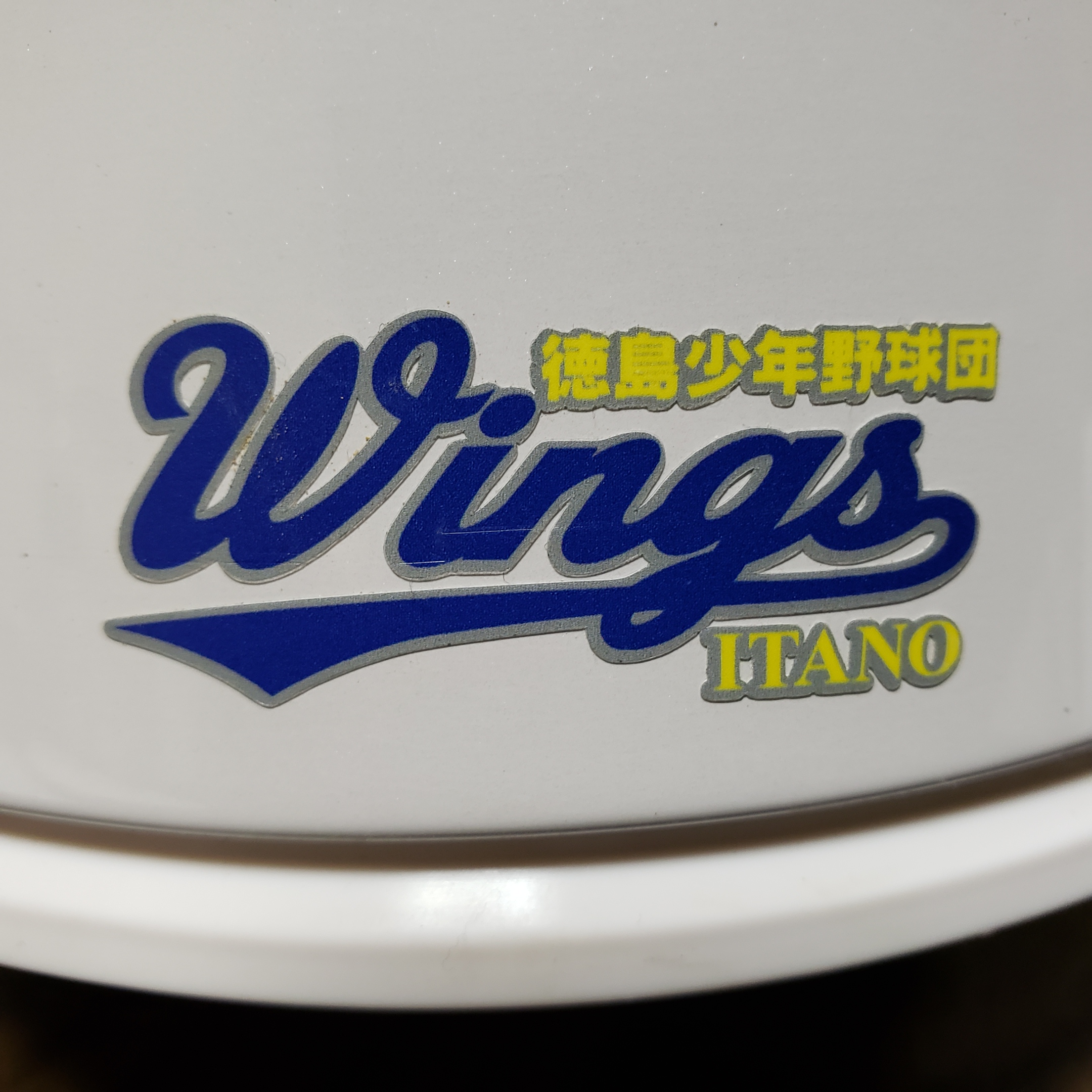 板野ウィングス