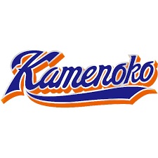 亀の子少年野球クラブ