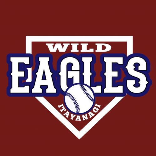 板柳ワイルドイーグルス