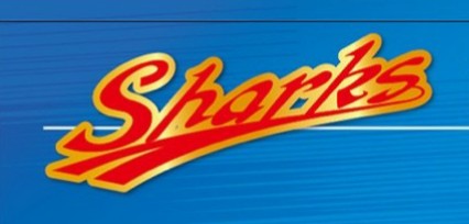 岡山庭瀬シャークス