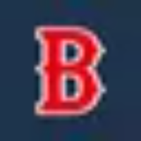 ブエナビスタ少年野球クラブ　活動スケジュール